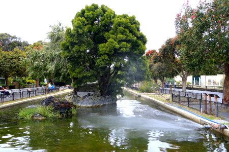 Penguin Island - San Francisco Zoo - San Francisco, CA - DSC03733