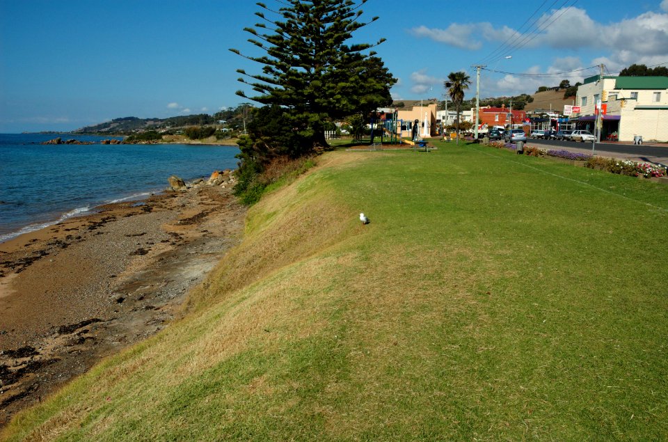 Penguin-beach-20070420-032