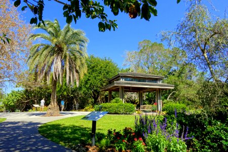 Pavilion - Marie Selby Botanical Gardens - Sarasota, Florida - DSC01341