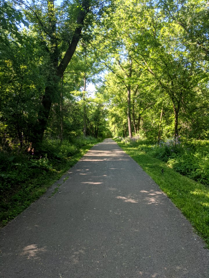 Paved pedestrian trail in Rolling Meadows, Illinois