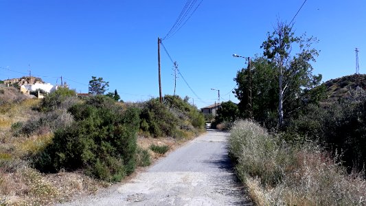Paulenca