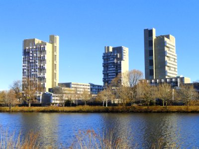 Peabody Terrace Apartments - Harvard University - DSC03009