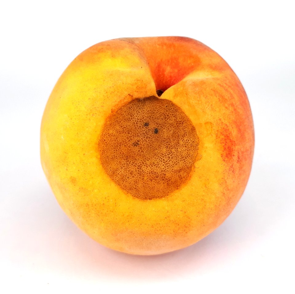 Peach scab 2017 A