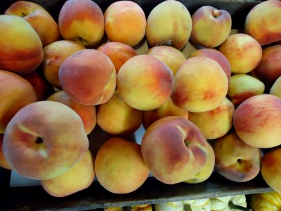 Peaches for sale in a store in NJ photo