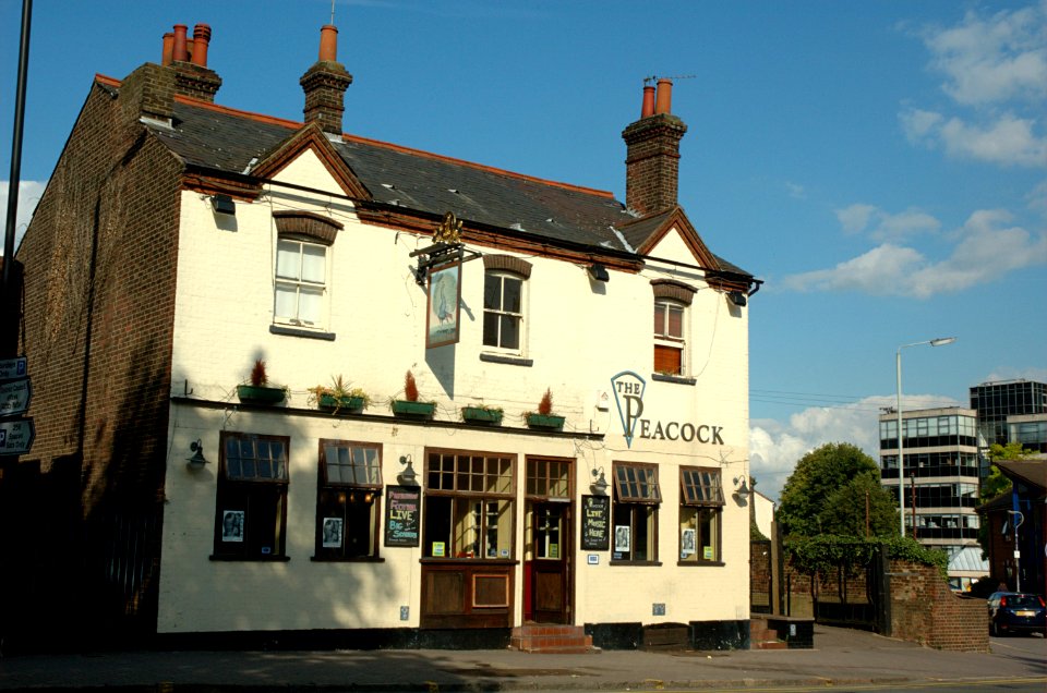 Peacock-St-Albans-20050920-007