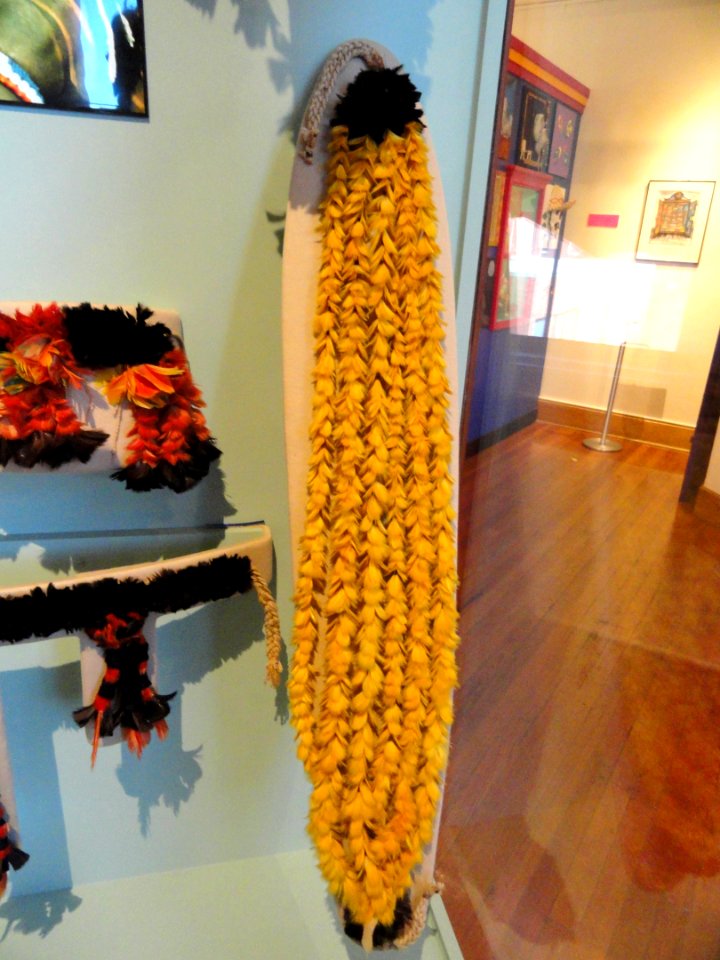 Pendant, Munduruku people, macaw feathers - South American collection - Peabody Museum, Harvard University - DSC05707