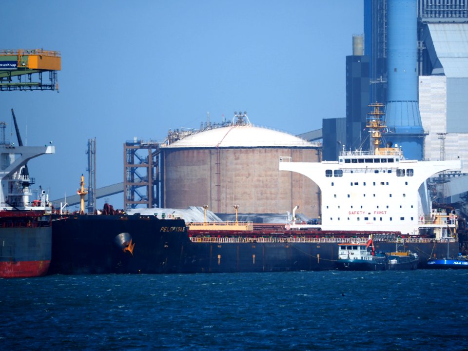 Pelopidas (ship, 2011) IMO 9501071, Port of Rotterdam