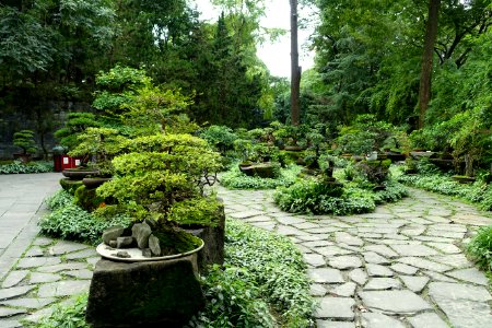 Penjing garden - Wuhou Shrine - Chengdu, China - DSC05427