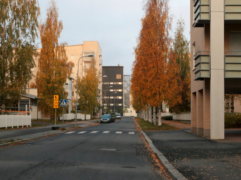 Peltolankaari Oulu 20201003