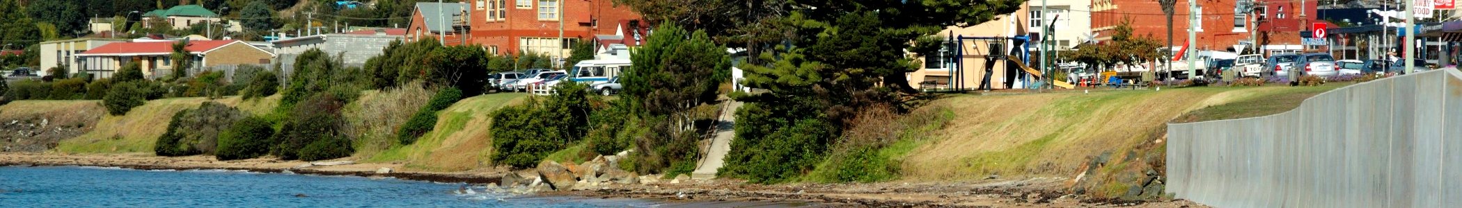 Penguin banner beach