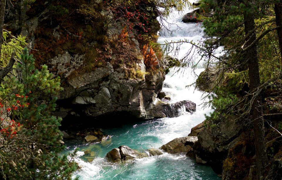 Bach waters mountain stream