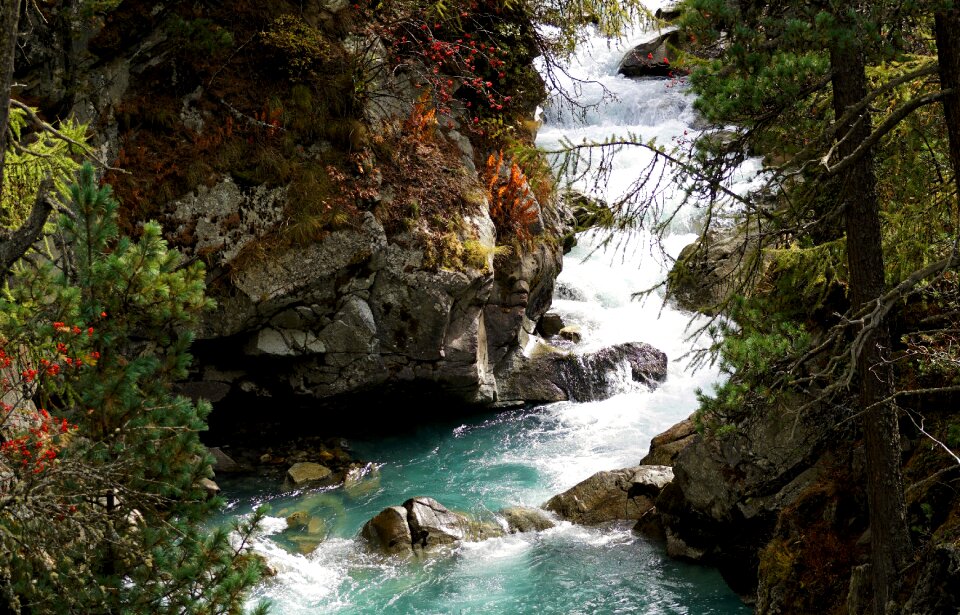 Bach waters mountain stream photo