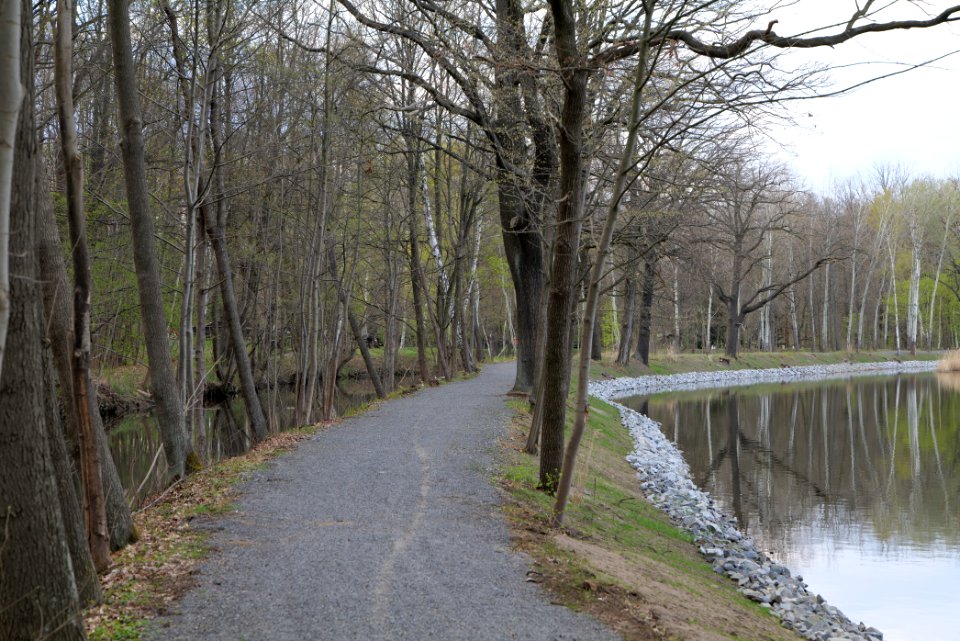 Peitzer Teichlandschaft mit Hammergraben 2021-04-24 24