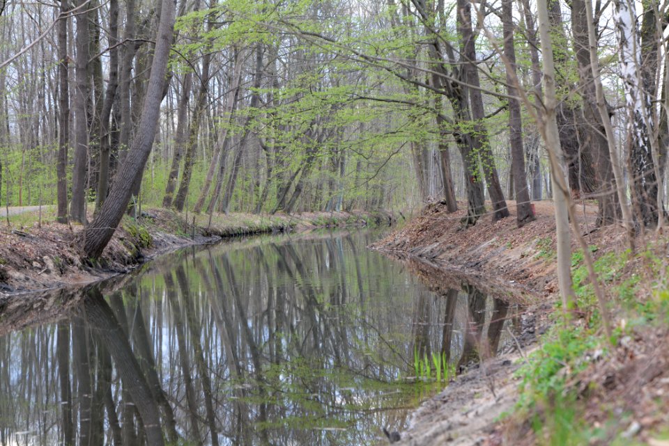 Peitzer Teichlandschaft mit Hammergraben 2021-04-24 19