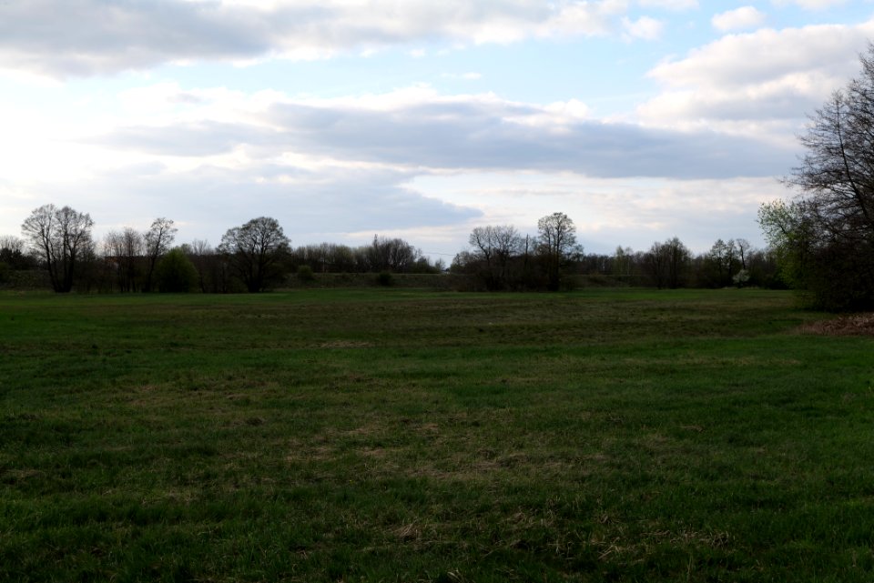 Peitzer Teichlandschaft mit Hammergraben 2021-04-24 09