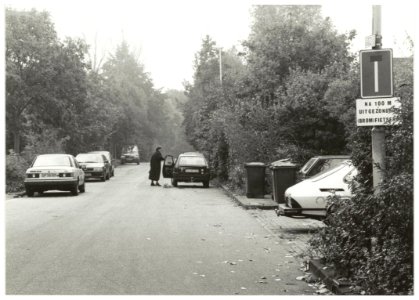 Peelweg met een aantal geparkeerde auto's. NL-HlmNHA 54035178