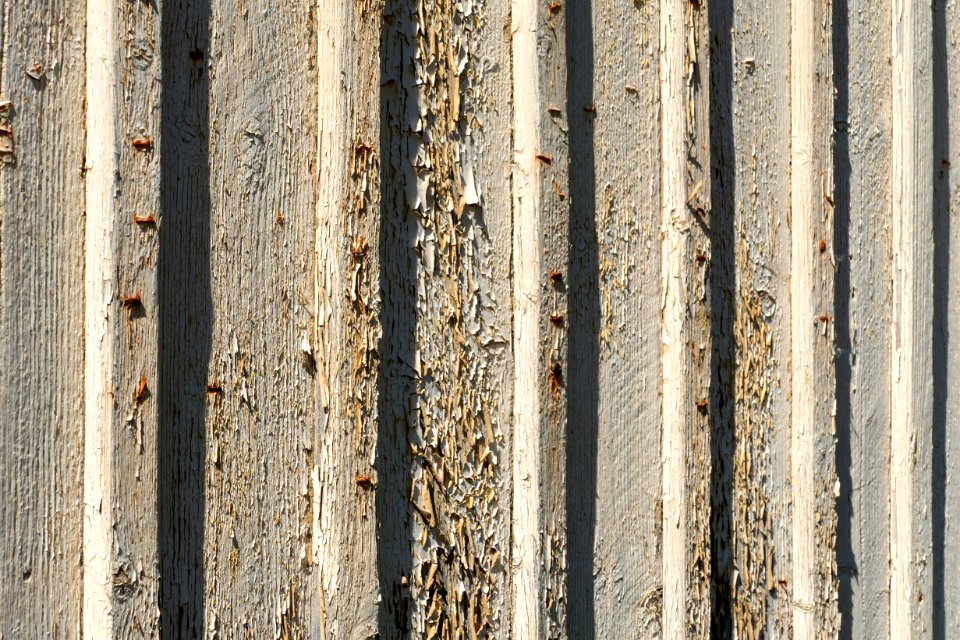 Peeling paint on a shed in Brodalen