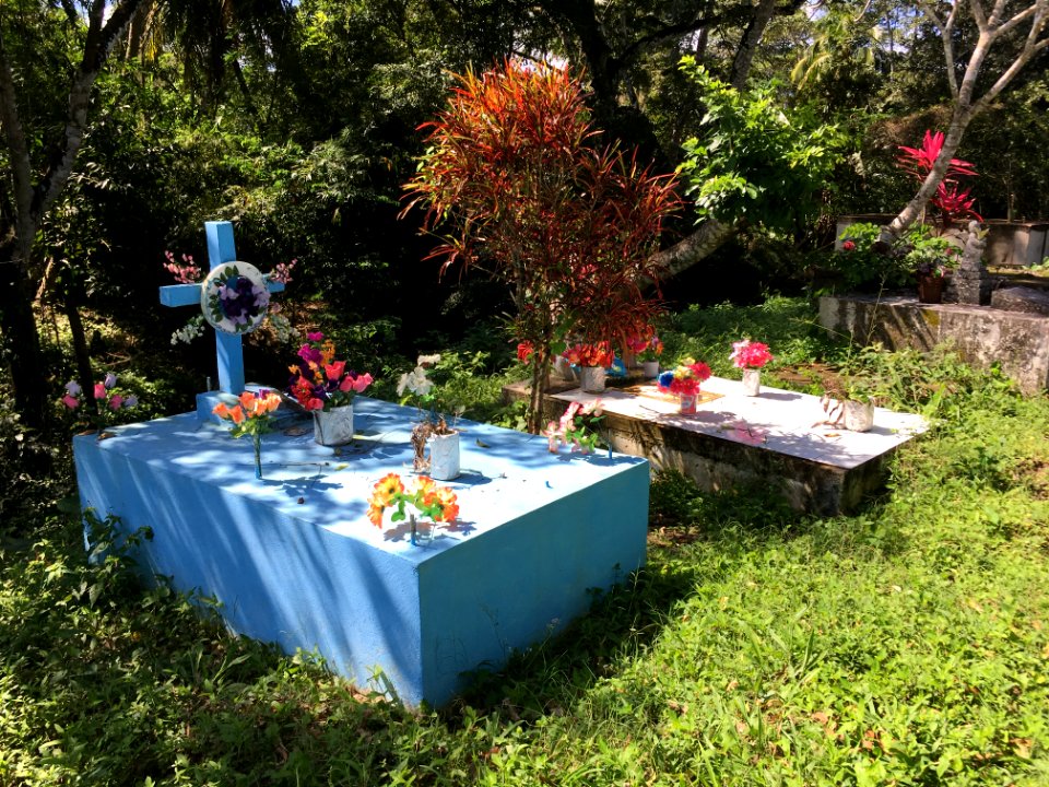 Pedro Manzanero Cemetery Bullet Tree Falls