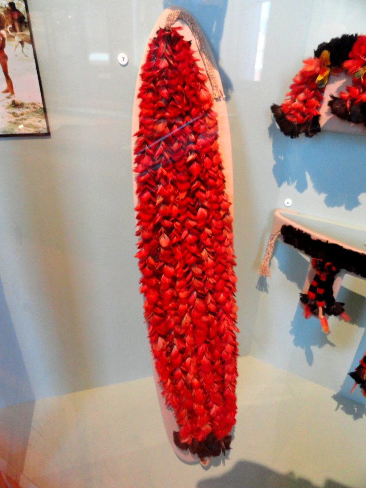 Pendant, Munduruku people, macaw feathers - South American collection - Peabody Museum, Harvard University - DSC05705