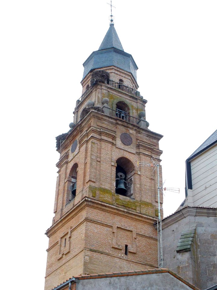 Peñaranda de Bracamonte - Iglesia de San Miguel 10