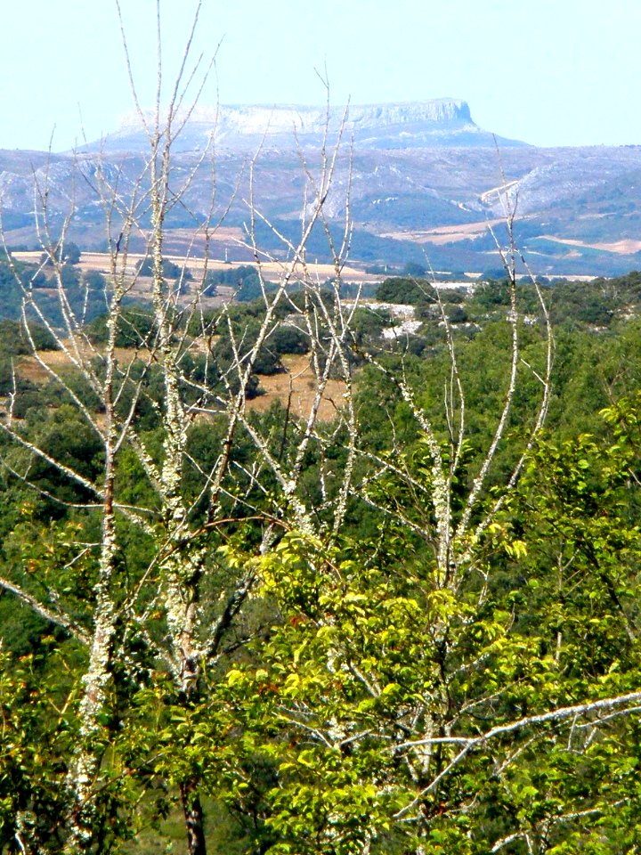 Peña Amaya (Palencia), vista desde el despoblado de Ceniceros (Burgos)