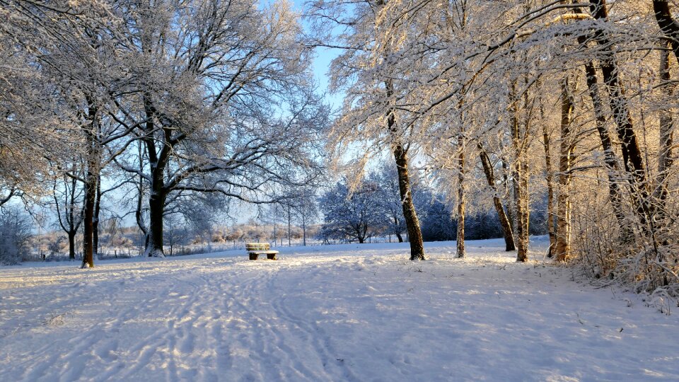 Bench in snow wintry winter magic