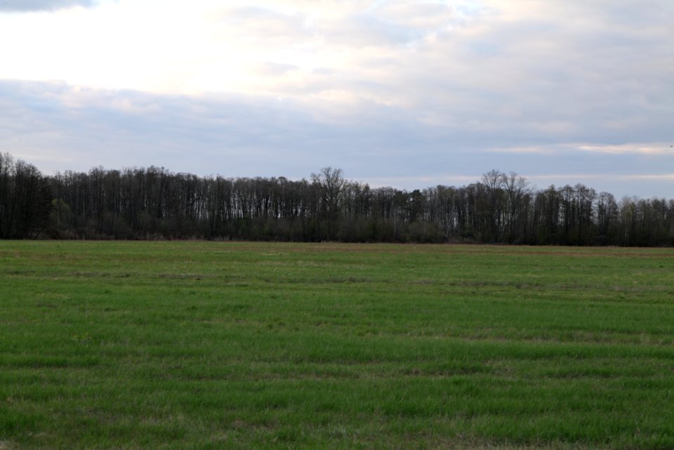 Peitzer Teichlandschaft mit Hammergraben 2021-04-24 63