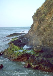 Penasco en la playa de bahia de plata