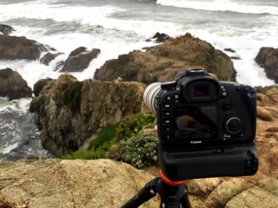 Pelecanus occidentalis at Bodega Head (making of)