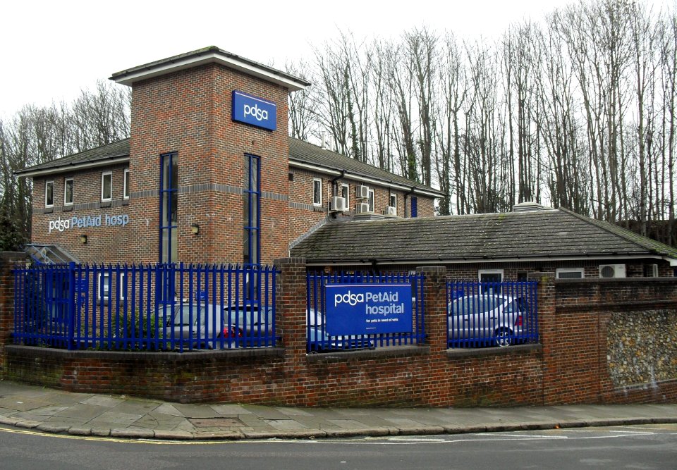PDSA PetAid Hospital at Robertson Road, Preston Village, Brighton (January 2011)