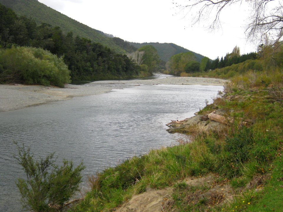 Pelorus-River01