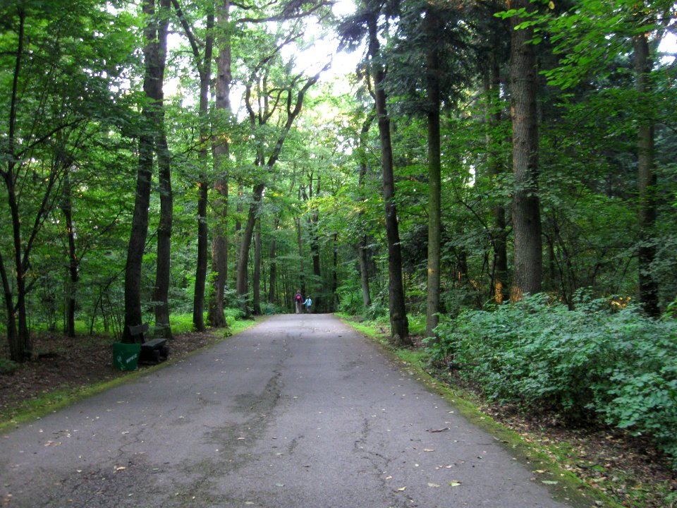 Pedestrian road in Las Wolski
