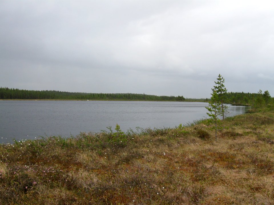 Pehkeenlampi Utajärvi