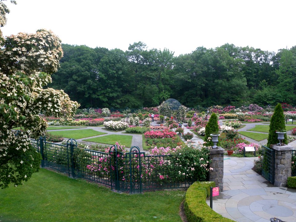 Peggy Rockefeller Rose Garden NYBG jeh