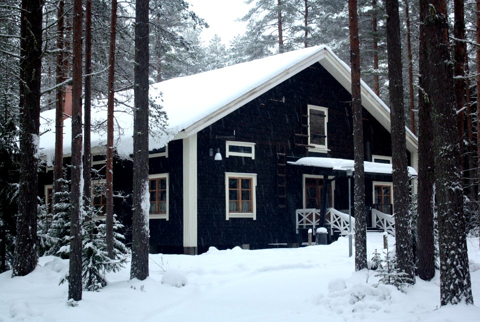 Pehkolanlampi Oulu 20120106