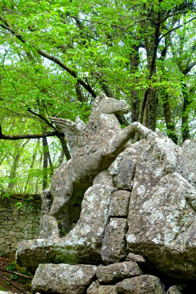 Pegasus - Parco dei Mostri - Bomarzo, Italy - DSC02486