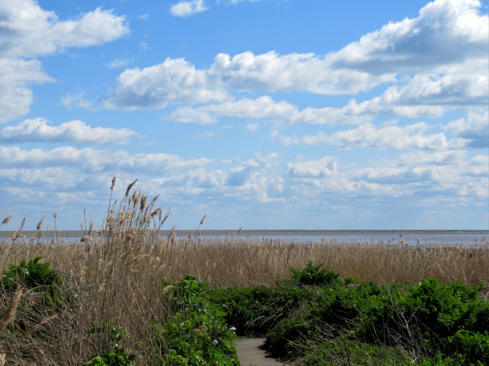 Pegwell Bay, April 2021