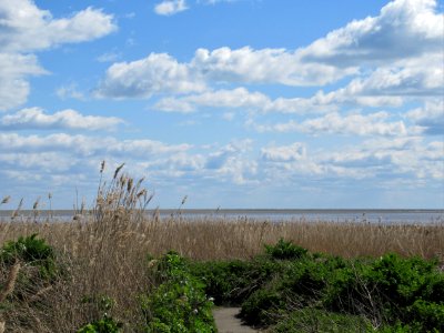 Pegwell Bay, April 2021