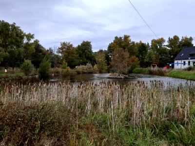 Peißen Dorfteich