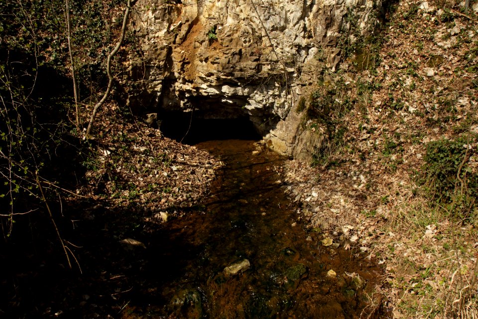 Pegnitzaustritt 01
