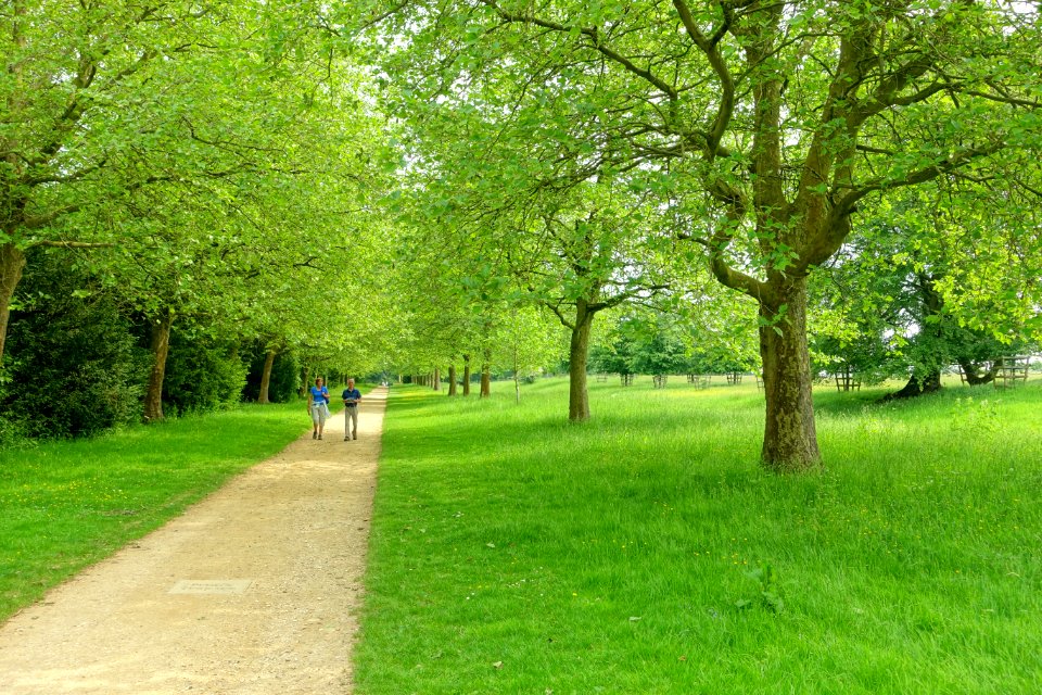 Pegg's Terrace, Stowe - Buckinghamshire, England - DSC06923