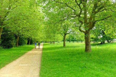 Pegg's Terrace, Stowe - Buckinghamshire, England - DSC06923
