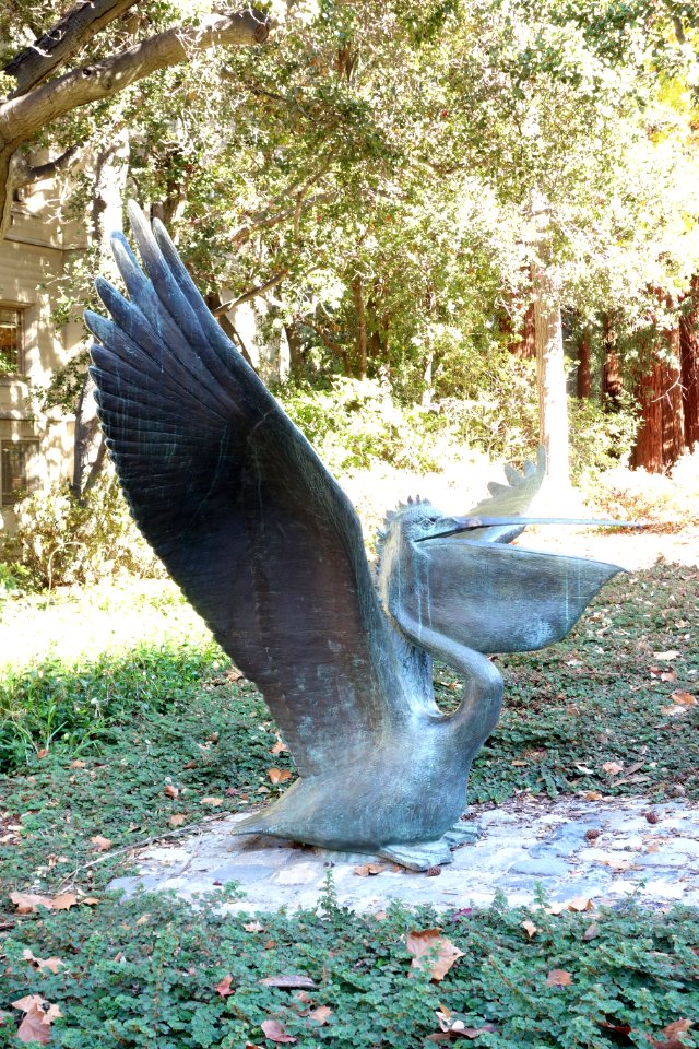 Pelican sculpture at Anthony Hall - University of California, Berkeley - DSC04917