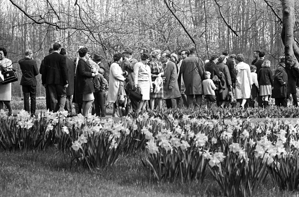 Pasen op Keukenhof, Bestanddeelnr 919-0141