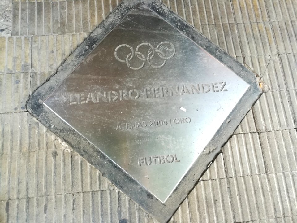 Paseo de los Olímpicos Rosario 2019 118