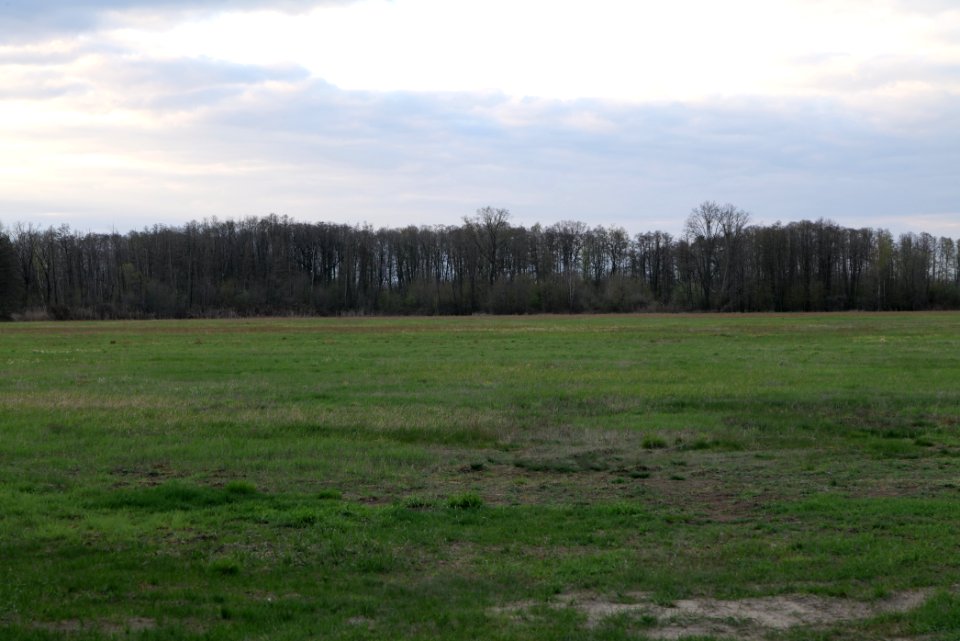 Peitzer Teichlandschaft mit Hammergraben 2021-04-24 65