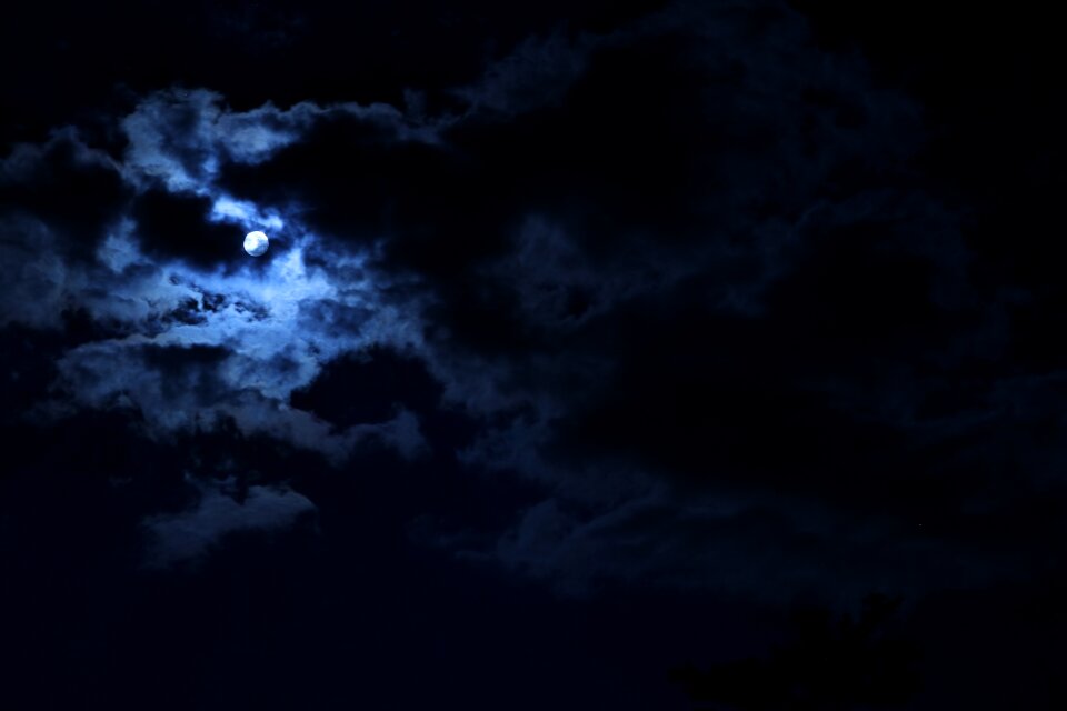Nature outdoor night
