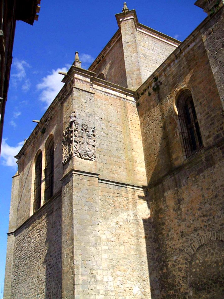 Peñaranda de Duero - ex Colegiata de Santa Ana 3