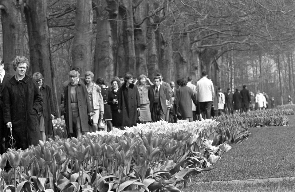 Pasen op Keukenhof, Bestanddeelnr 919-0142