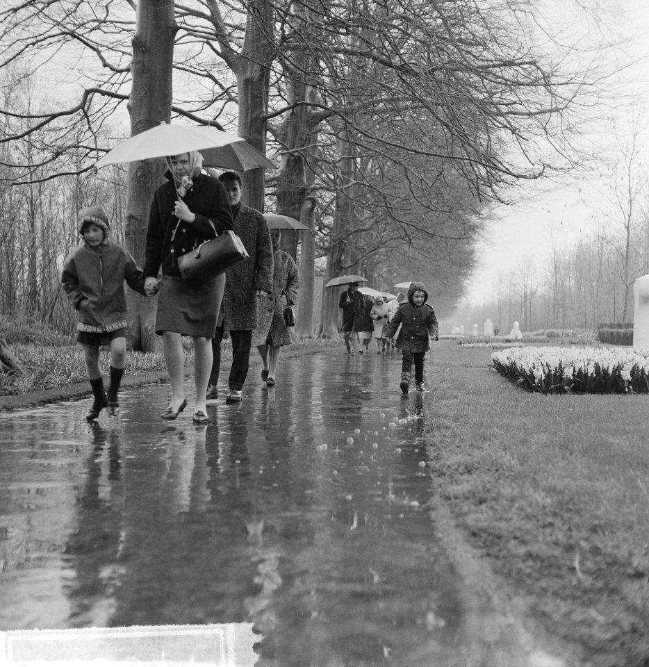 Pasen 1965, touristen op Keukenhof met paraplus gewapend, Bestanddeelnr 917-6621